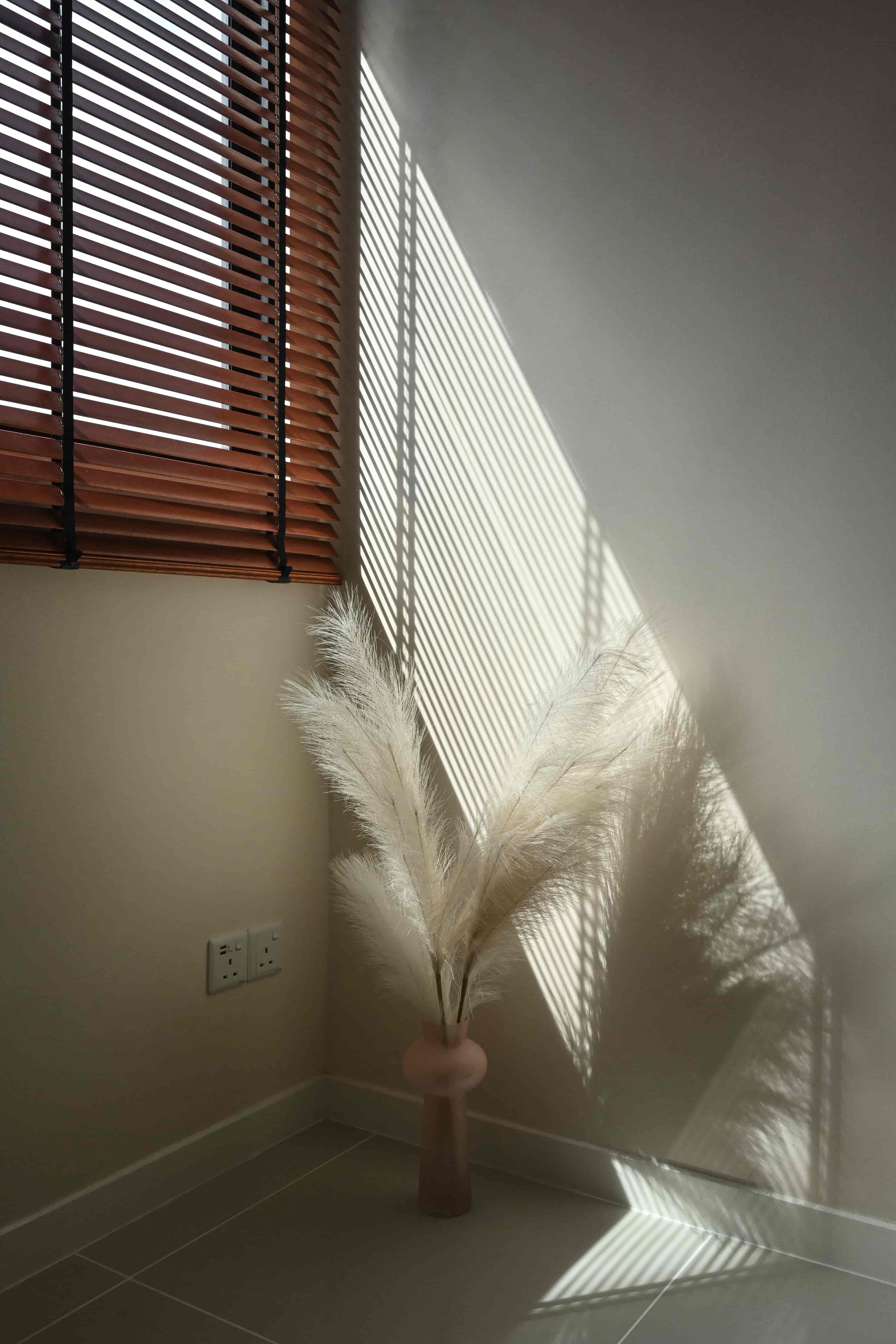 The Soft Spoken Home-image-20